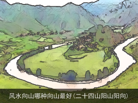 风水向山哪种向山最好(二十四山阳山阳向)
