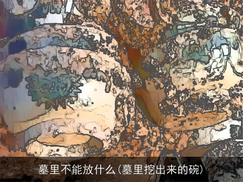 墓里不能放什么(墓里挖出来的碗)