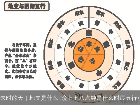 未时的天干地支是什么(晚上七八点钟是什么时辰五行)