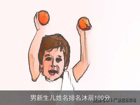 男新生儿姓名排名沐辰100分