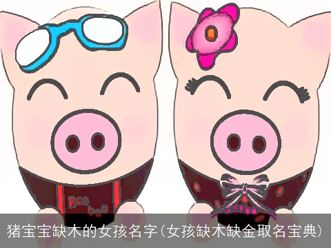 猪宝宝缺木的女孩名字(女孩缺木缺金取名宝典)