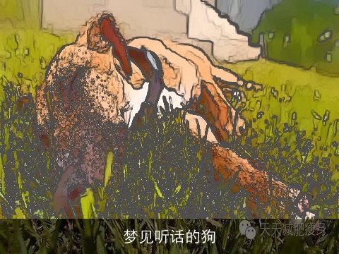 梦见听话的狗