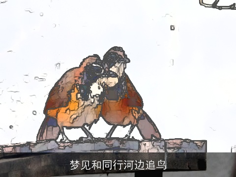 梦见和同行河边追鸟