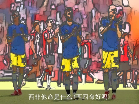 西非他命是什么(西四命好吗)