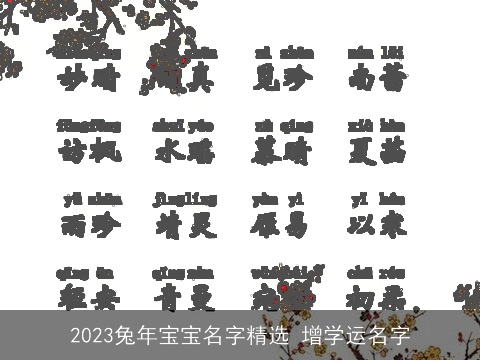 2023兔年宝宝名字精选 增学运名字