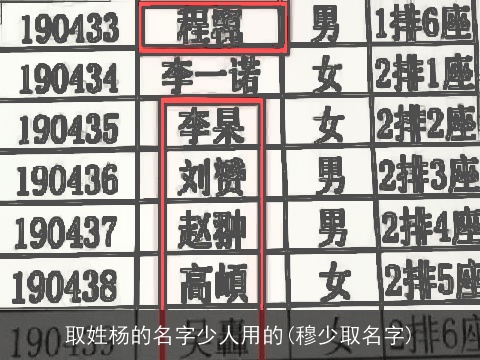 取姓杨的名字少人用的(穆少取名字)