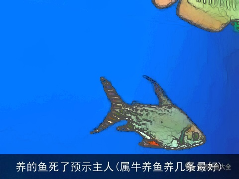 养的鱼死了预示主人(属牛养鱼养几条最好)