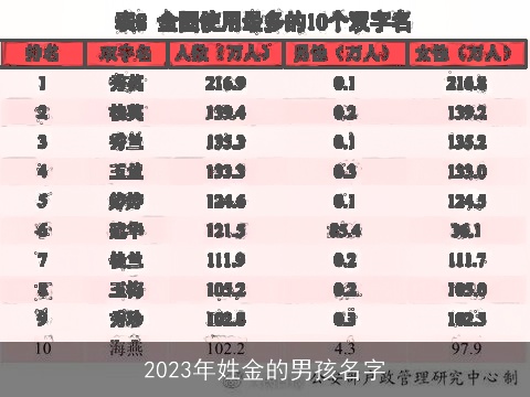 2023年姓金的男孩名字