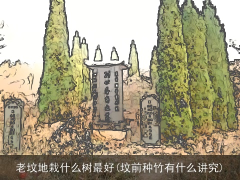 老坟地栽什么树最好(坟前种竹有什么讲究)