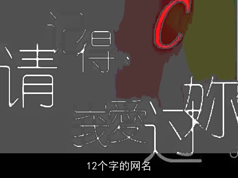 12个字的网名