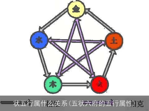 状五行属什么关系(五状六府的五行属性)