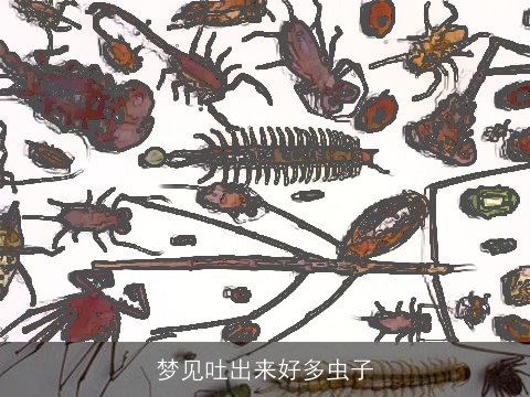 梦见吐出来好多虫子
