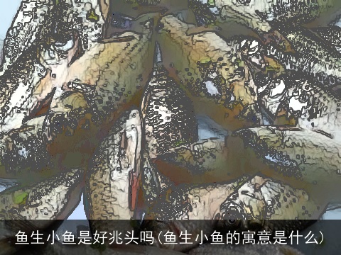 鱼生小鱼是好兆头吗(鱼生小鱼的寓意是什么)