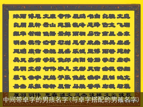 中间带卓字的男孩名字(与卓字搭配的男孩名字)