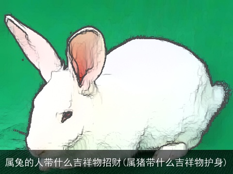 属兔的人带什么吉祥物招财(属猪带什么吉祥物护身)