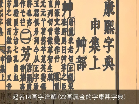 起名14画字详解(22画属金的字康熙字典)