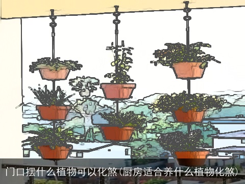 门口摆什么植物可以化煞(厨房适合养什么植物化煞)