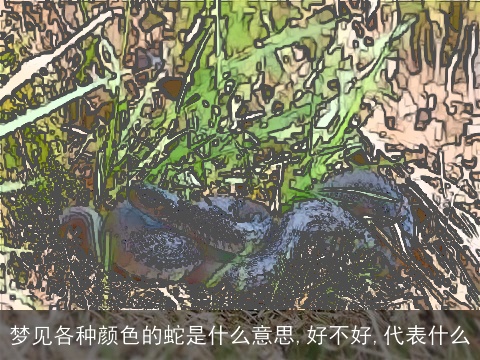 梦见各种颜色的蛇是什么意思,好不好,代表什么