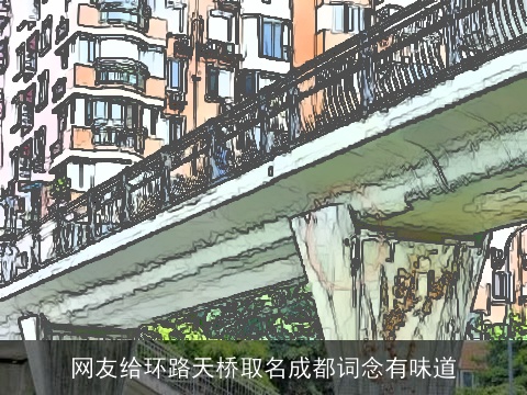 网友给环路天桥取名成都词念有味道