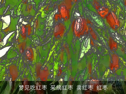 梦见吃红枣 采摘红枣 卖红枣 红枣