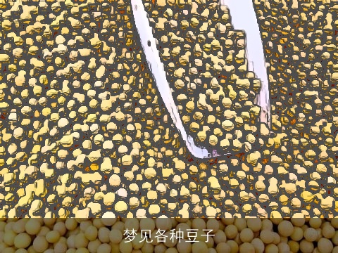 梦见各种豆子