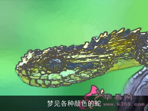 梦见各种颜色的蛇