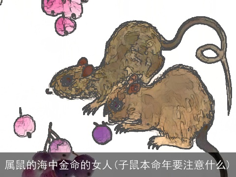 属鼠的海中金命的女人(子鼠本命年要注意什么)