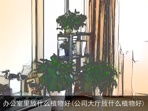 办公室里放什么植物好(公司大厅放什么植物好)