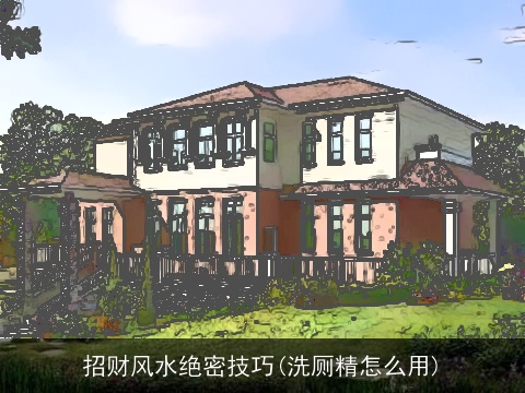 招财风水绝密技巧(洗厕精怎么用)