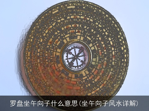 罗盘坐午向子什么意思(坐午向子风水详解)