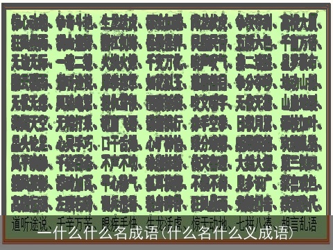 一什么什么名成语(什么名什么义成语)