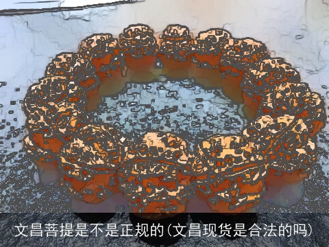 文昌菩提是不是正规的(文昌现货是合法的吗)