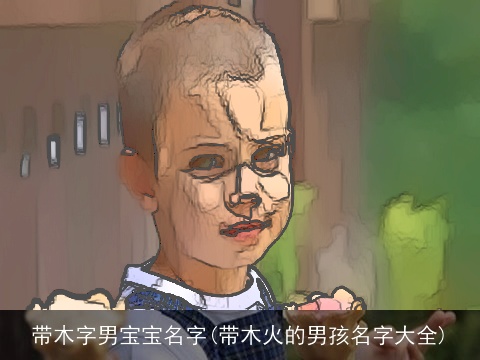 带木字男宝宝名字(带木火的男孩名字大全)