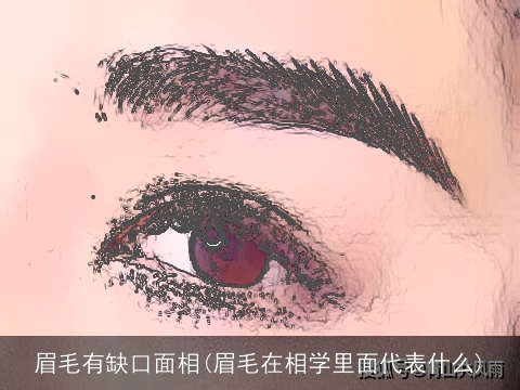 眉毛有缺口面相(眉毛在相学里面代表什么)