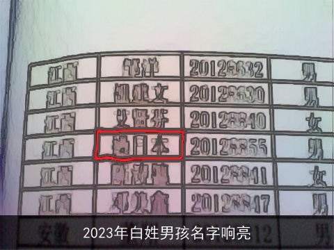 2023年白姓男孩名字响亮