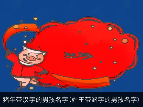 猪年带汉字的男孩名字(姓王带涵字的男孩名字)