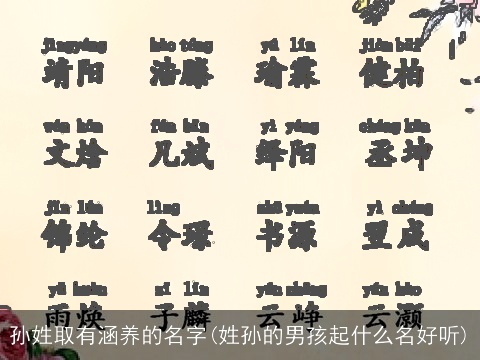 孙姓取有涵养的名字(姓孙的男孩起什么名好听)