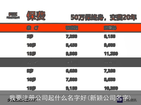 我要注册公司起什么名字好(新颖公司名字)