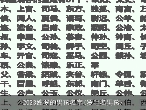 2023姓罗的男孩名字(罗起名男孩)