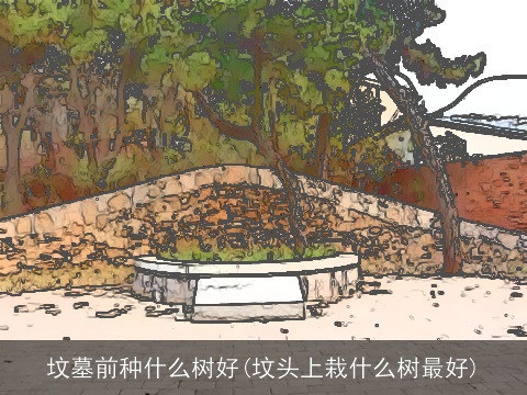 坟墓前种什么树好(坟头上栽什么树最好)