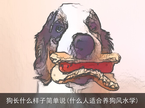 狗长什么样子简单说(什么人适合养狗风水学)