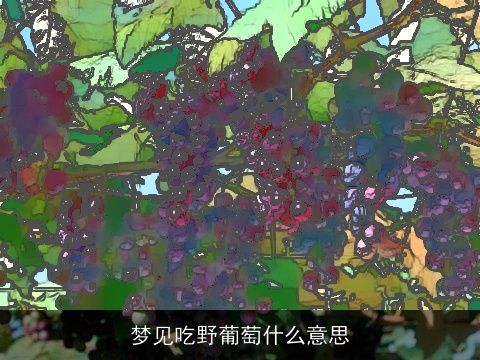 梦见吃野葡萄什么意思