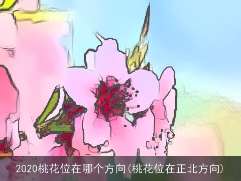 2020桃花位在哪个方向(桃花位在正北方向)