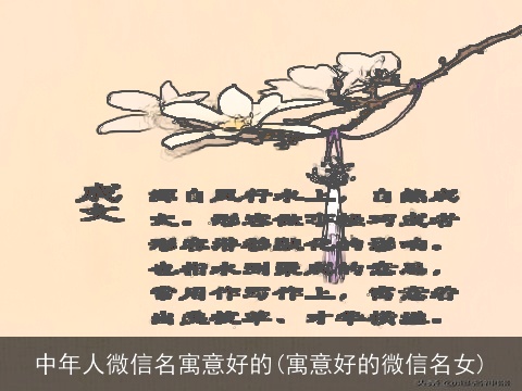 中年人微信名寓意好的(寓意好的微信名女)