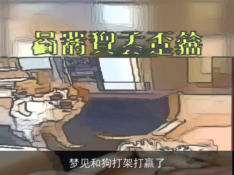 梦见和狗打架打赢了