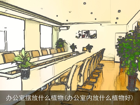办公室摆放什么植物(办公室内放什么植物好)