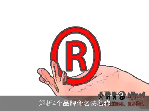 解析4个品牌命名法名称