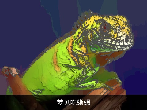 梦见吃蜥蜴
