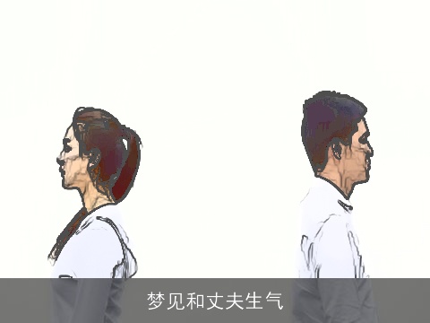 梦见和丈夫生气