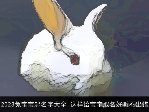 2023兔宝宝起名字大全 这样给宝宝取名好听不出错